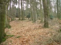 Vorschaubild der Version vom 20:26, 15. Jan. 2014