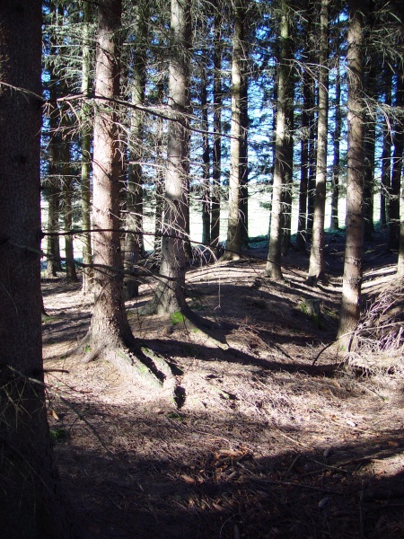 Datei:Gardeweg - Egen 18.jpg
