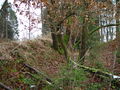 Wupper-Brambecke 21.JPG