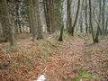 Wupper-Brambecke 35.JPG