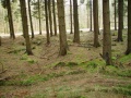 K13 (Löher Heide) 06.JPG